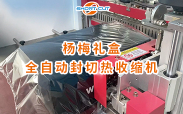 楊梅禮盒全自動封切熱收縮機